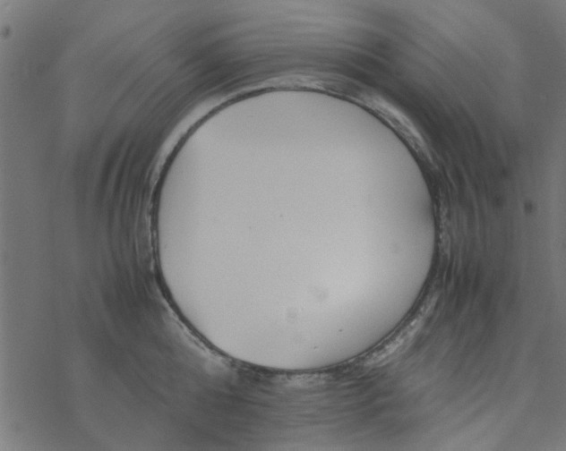 X0000077360808200611031845