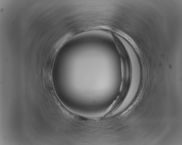 X0000077360809200611031845