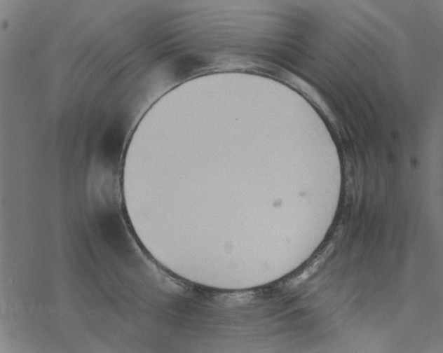 X0000077360810200611031845