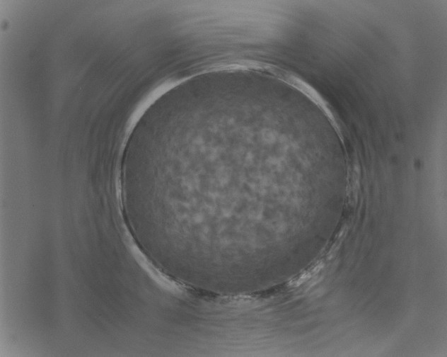 X0000077360811200611031845