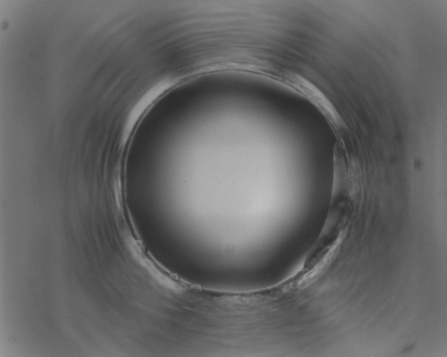 X0000077360812200611031845