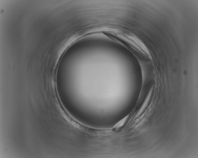 X0000077360813200611031844