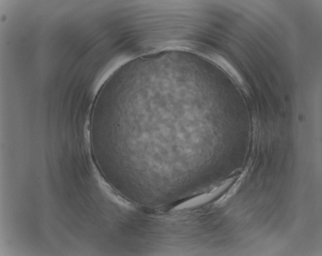 X0000077360814200611031844