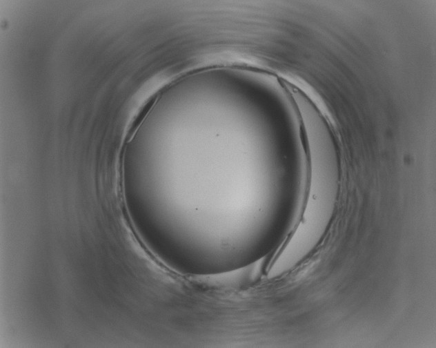 X0000077360815200611031844