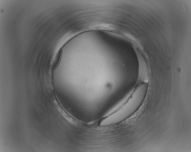 X0000077360816200611031844