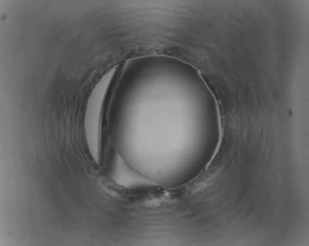 X0000077360818200611031844