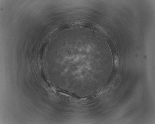 X0000077360819200611031844