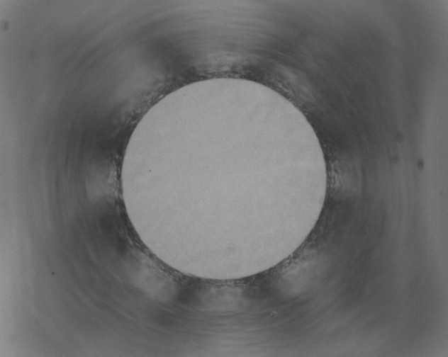 X0000077360820200611031844