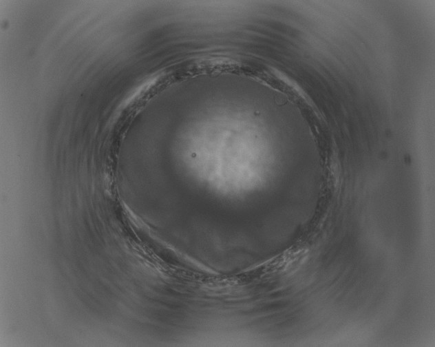 X0000077360823200611031844