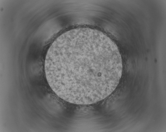 X0000077360824200611031844