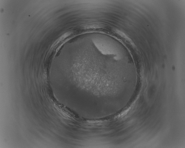 X0000077360825200611031844