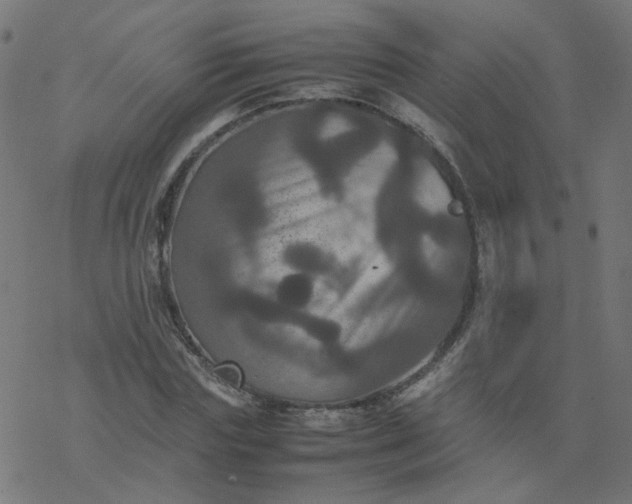 X0000077360827200611031844