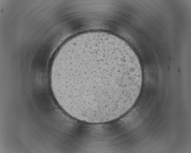 X0000077360828200611031844