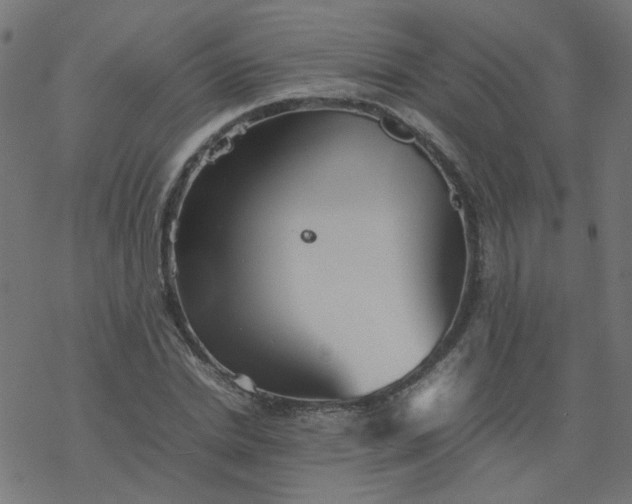 X0000077360830200611031844