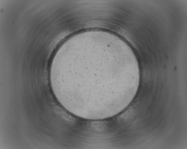 X0000077360832200611031844