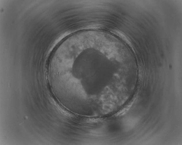 X0000077360835200611031844