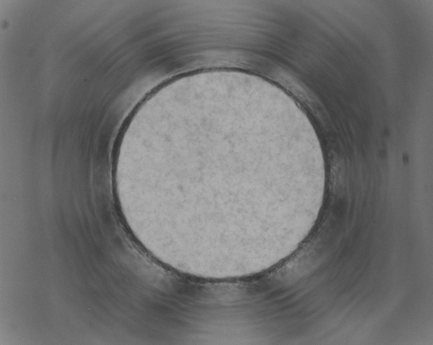 X0000077360836200611031844