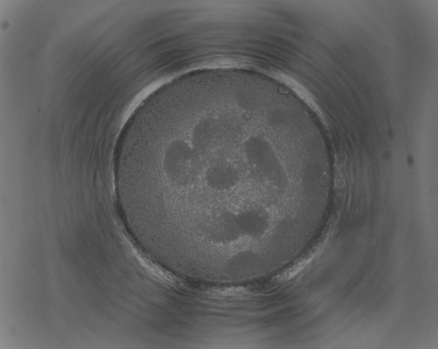 X0000077360837200611031844