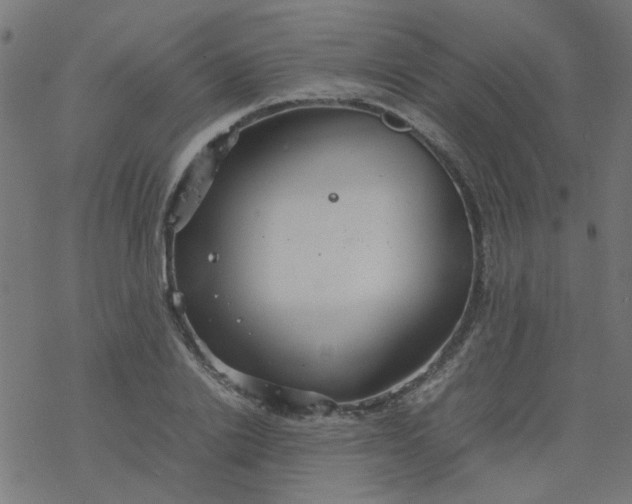 X0000077360838200611031844