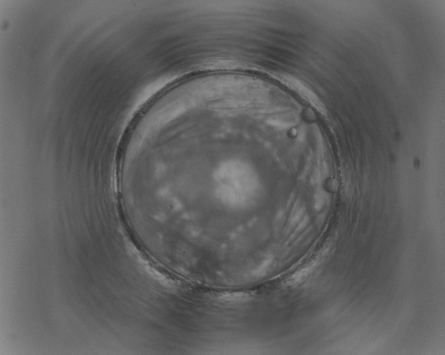 X0000077360839200611031844