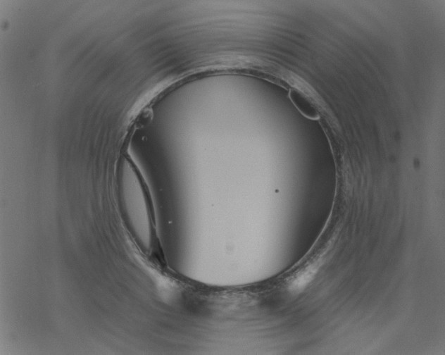 X0000077360842200611031844