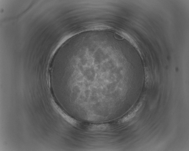 X0000077360843200611031844