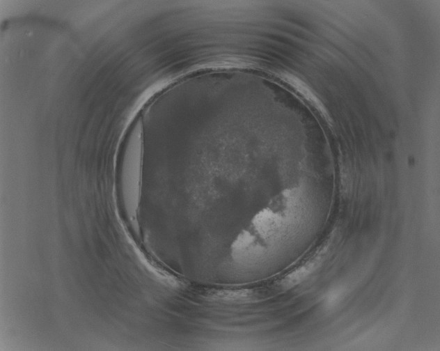 X0000077360845200611031844