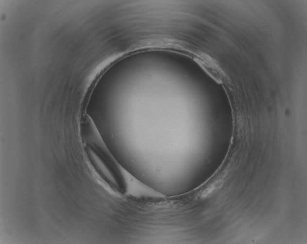 X0000077360846200611031844