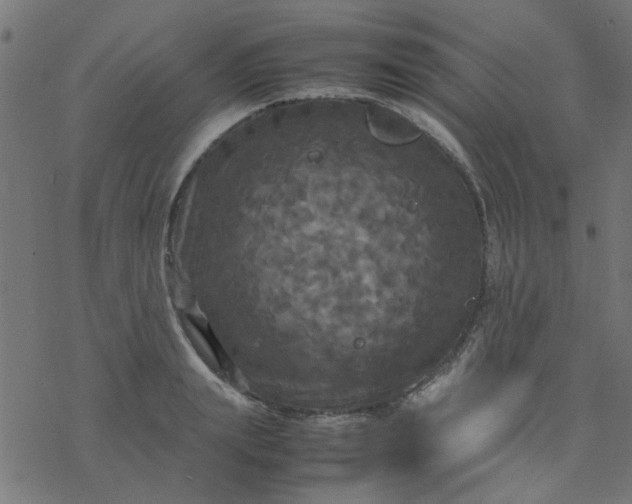 X0000077360847200611031844