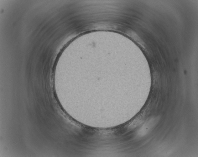 X0000077360848200611031844