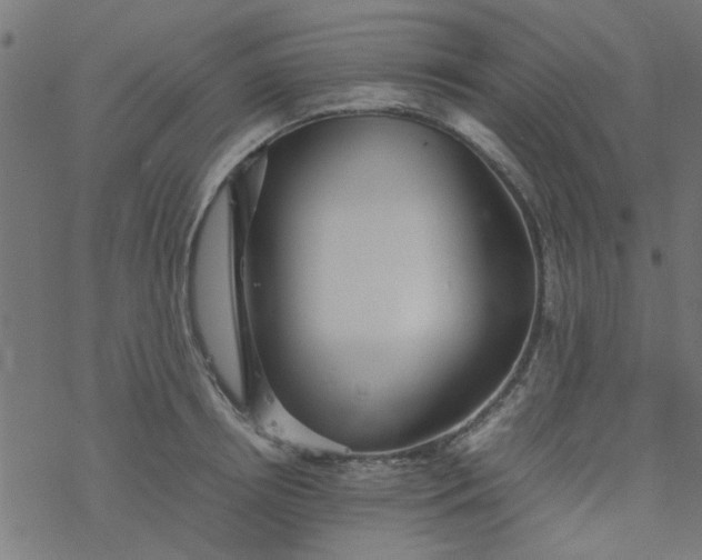 X0000077360850200611031844