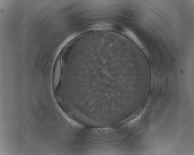 X0000077360853200611031844