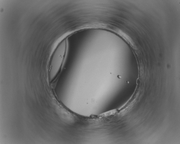 X0000077360854200611031844