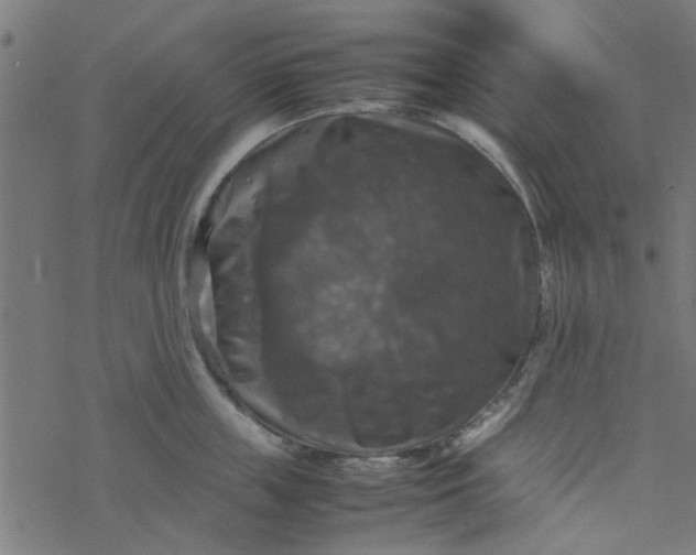 X0000077360859200611031844