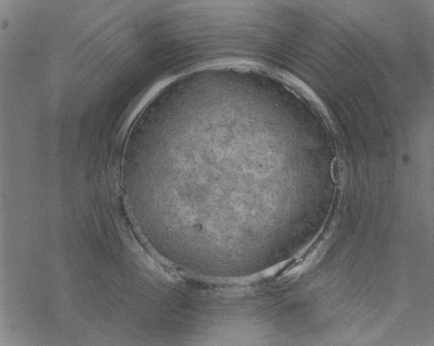 X0000077360860200611031844