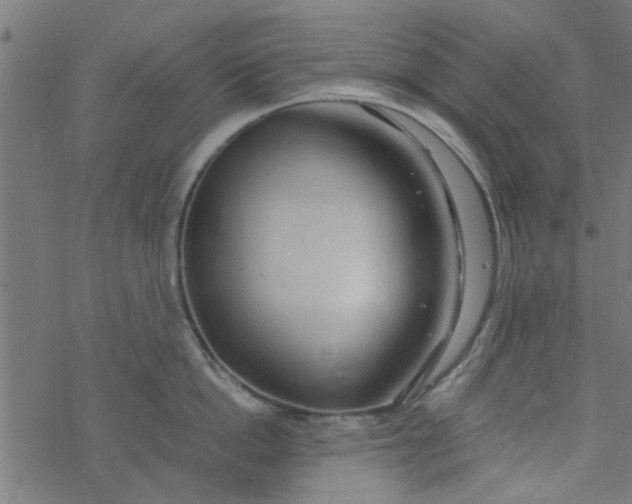 X0000077360862200611031844