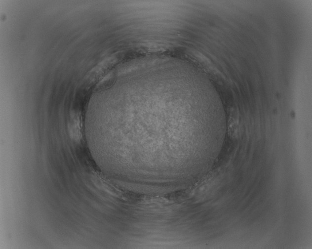 X0000077360866200611031844