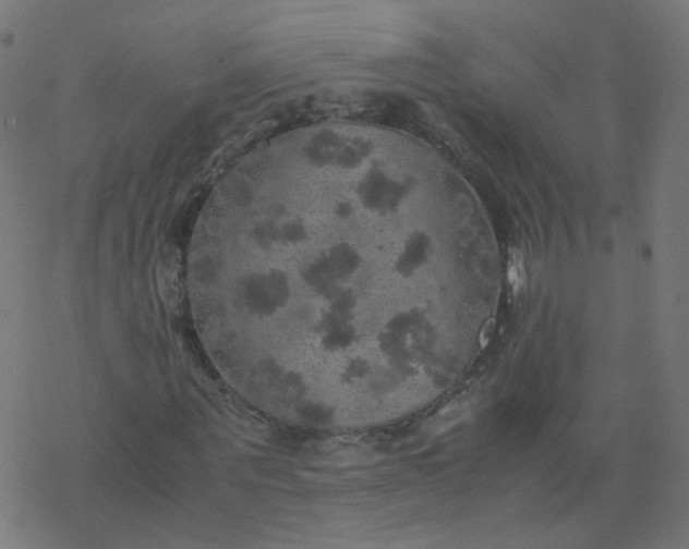 X0000077360867200611031844