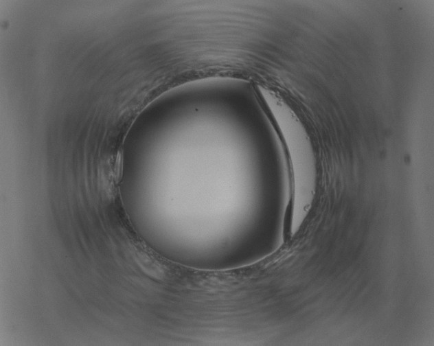 X0000077360868200611031844