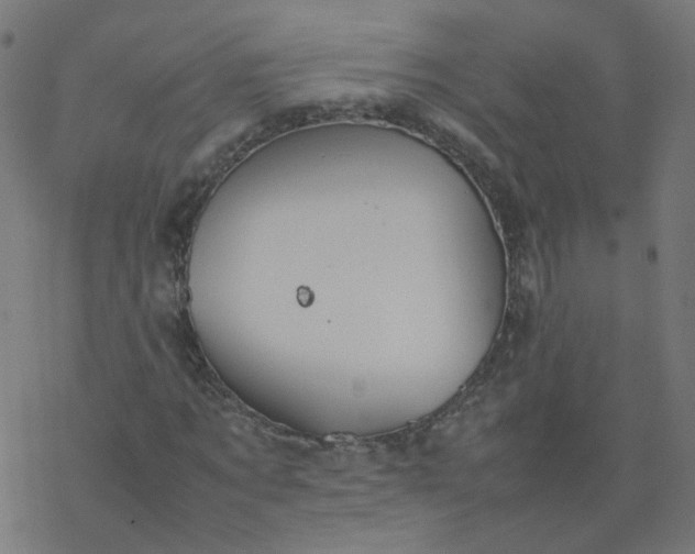 X0000077360869200611031844