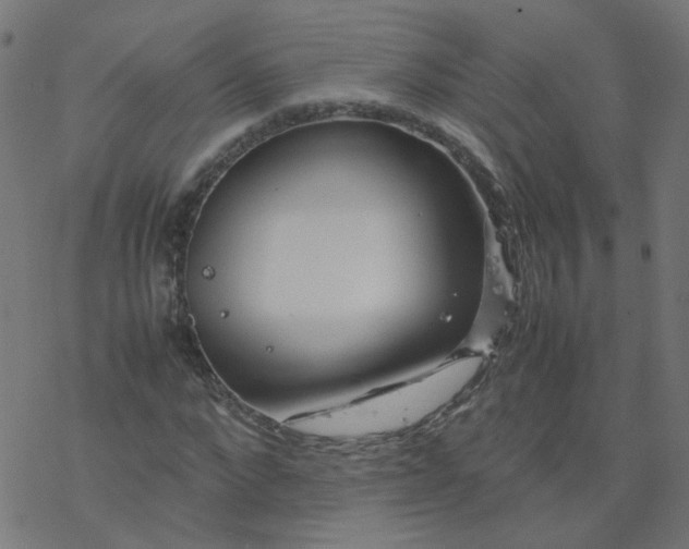 X0000077360872200611031844