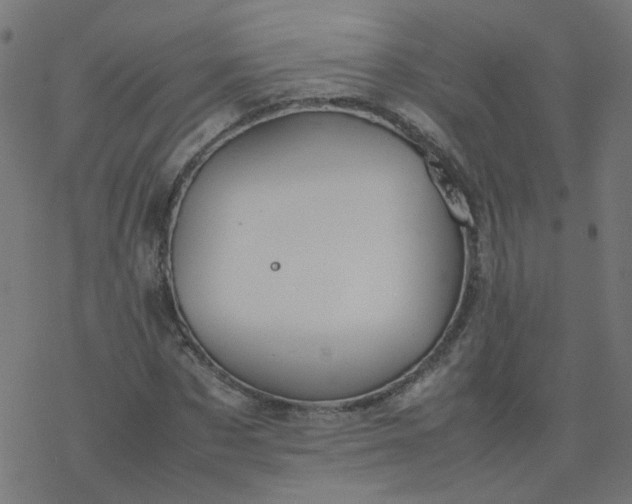 X0000077360873200611031844