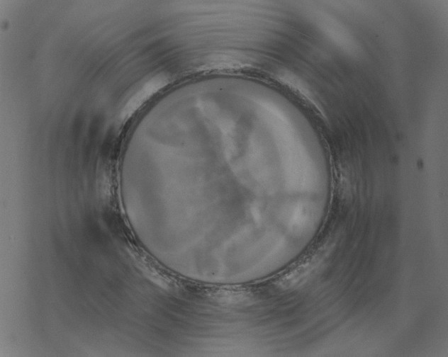 X0000077360874200611031843