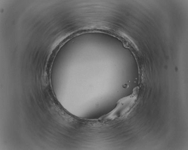 X0000077360876200611031843