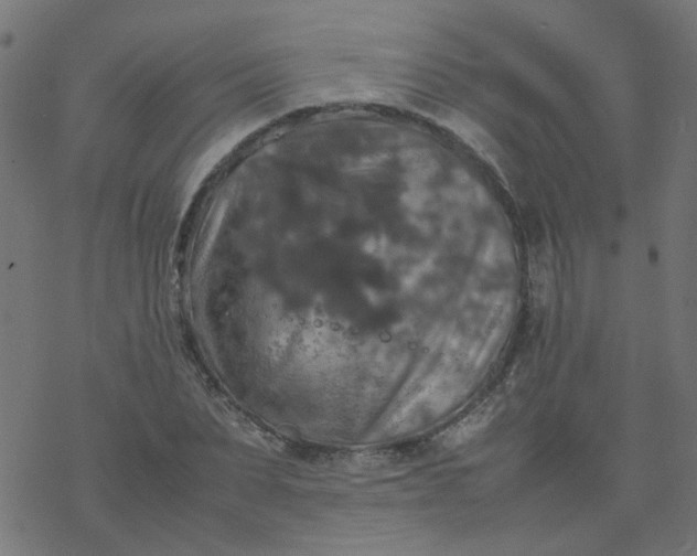 X0000077360879200611031843