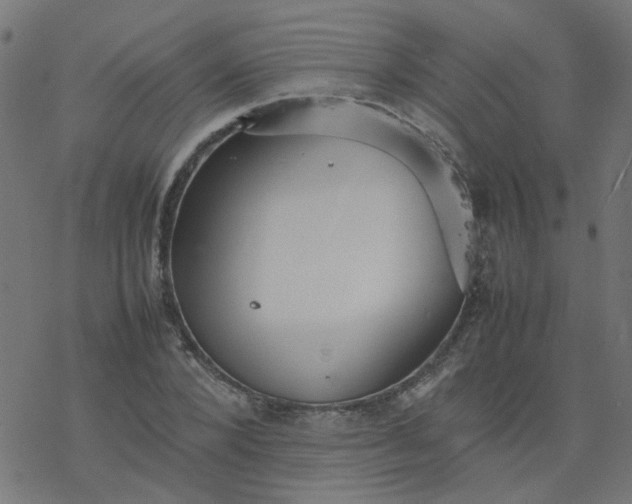 X0000077360880200611031843