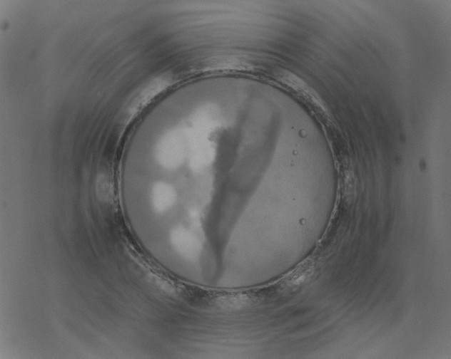 X0000077360882200611031843