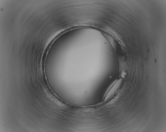 X0000077360884200611031843