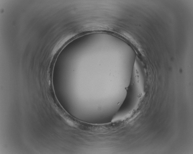 X0000077360885200611031843