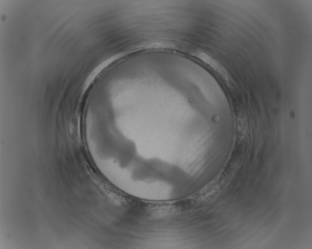 X0000077360886200611031843